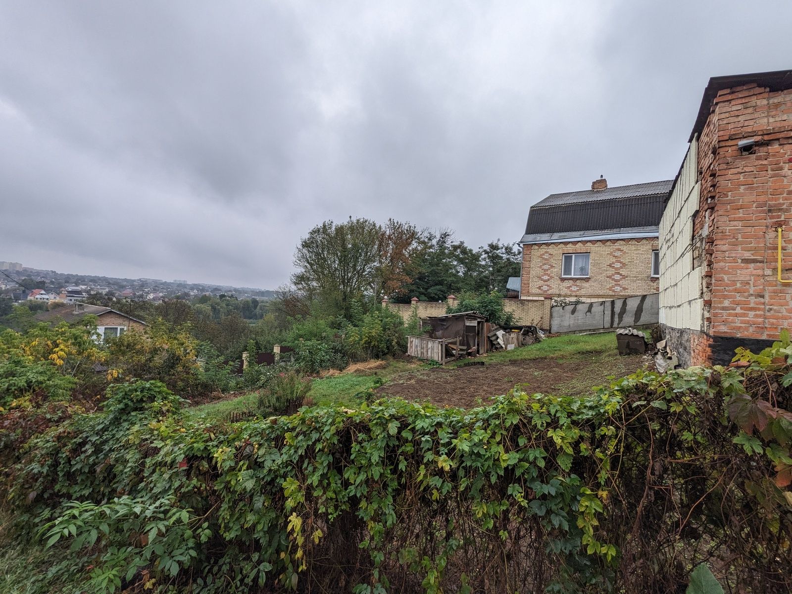 На якій відстані посадити дерево