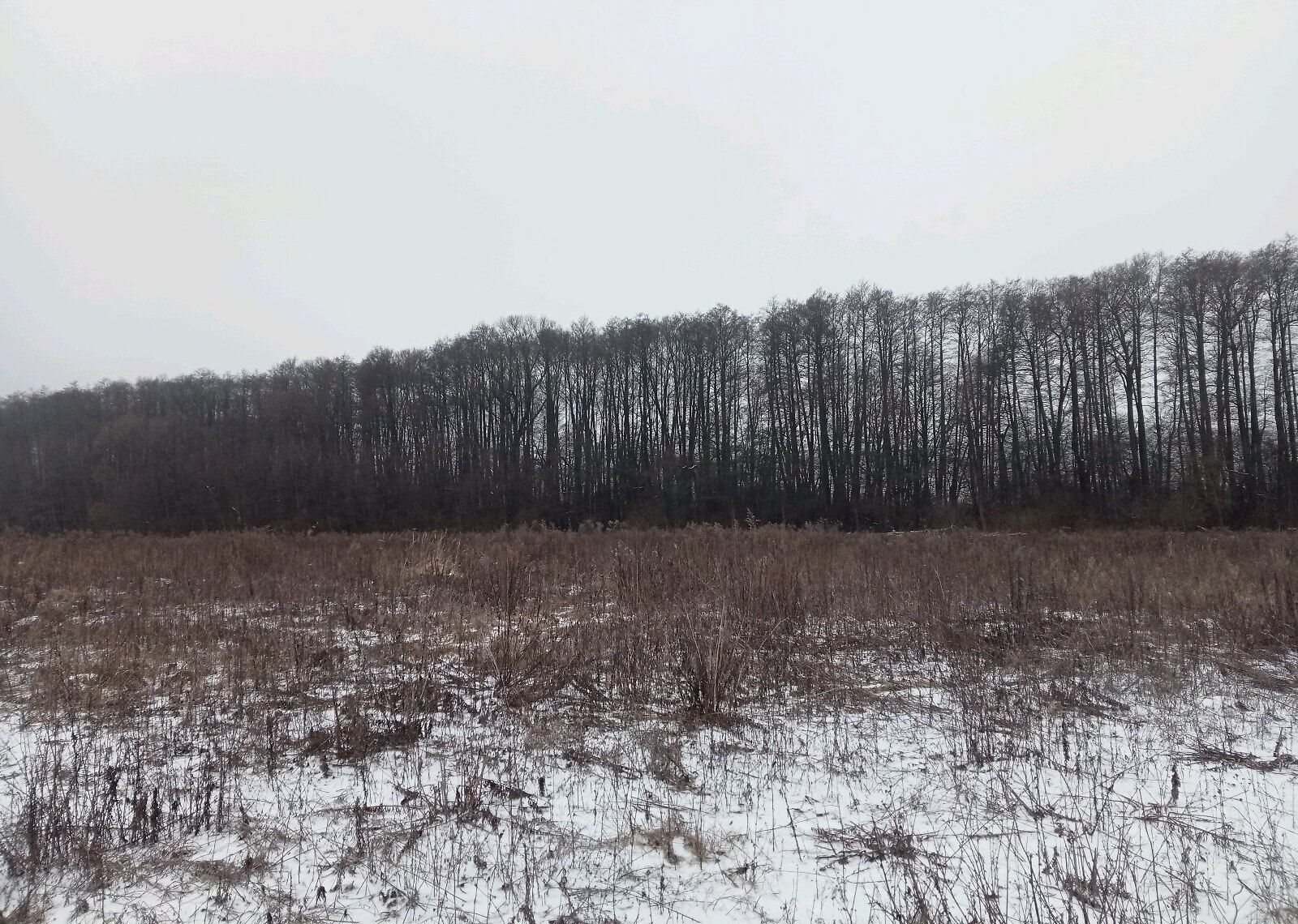 Сколько земли получают УБД Сколько земли получают УБД