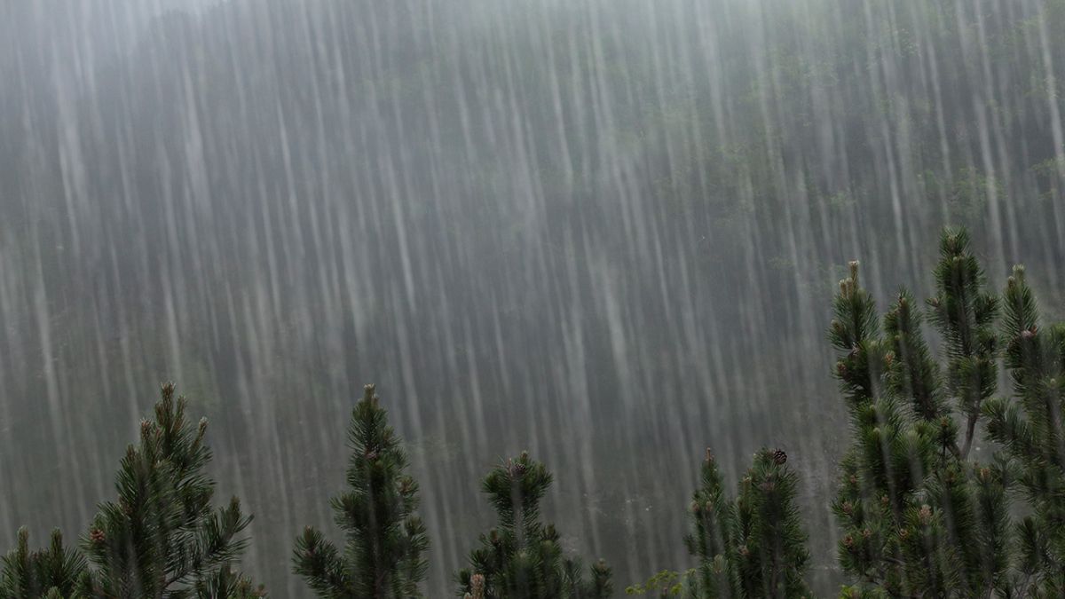 Непогода Непогода