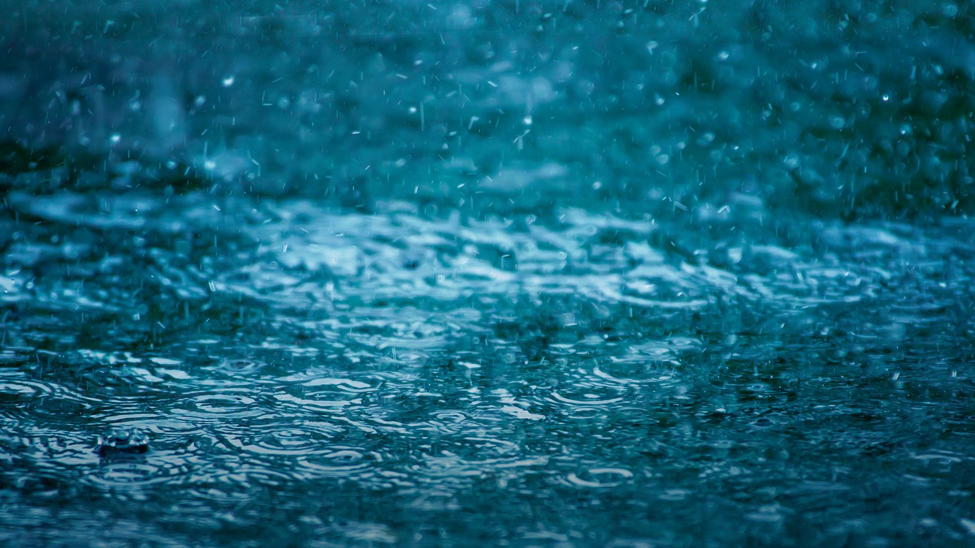 В каких областях будут дожди в ближайшие дни В каких областях будут дожди в ближайшие дни