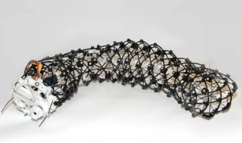 Робот-черв'як Робот-черв'як