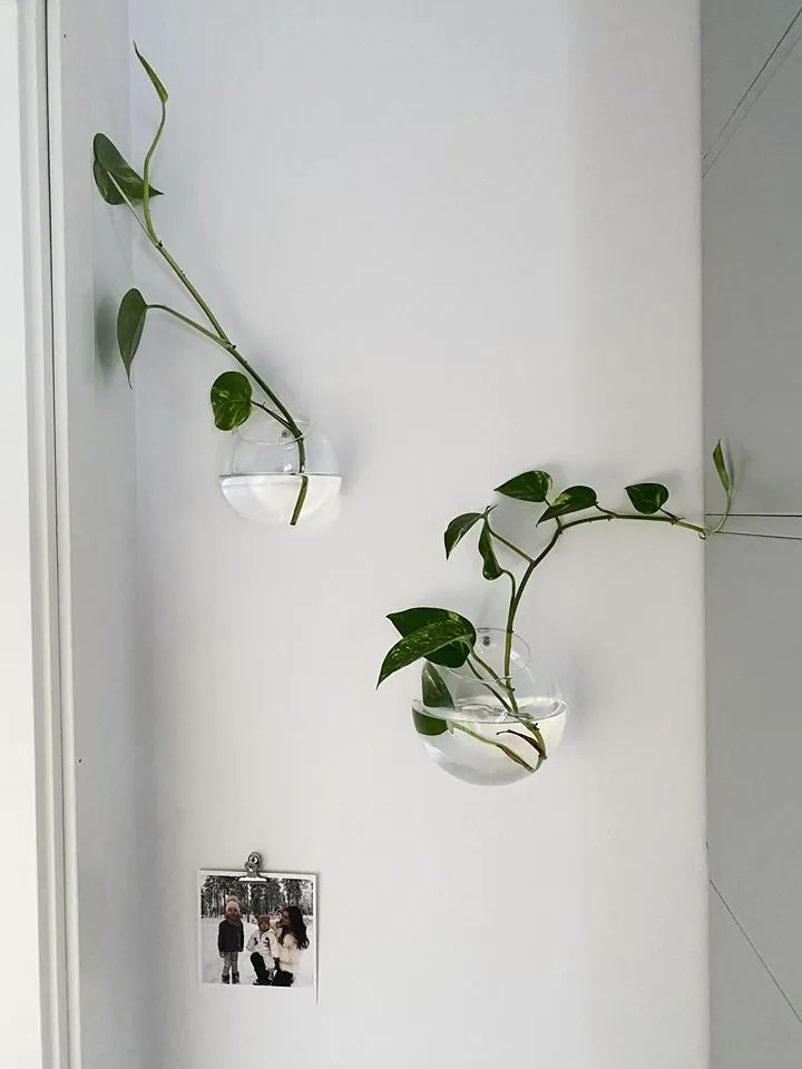 настенная ваза настенная ваза