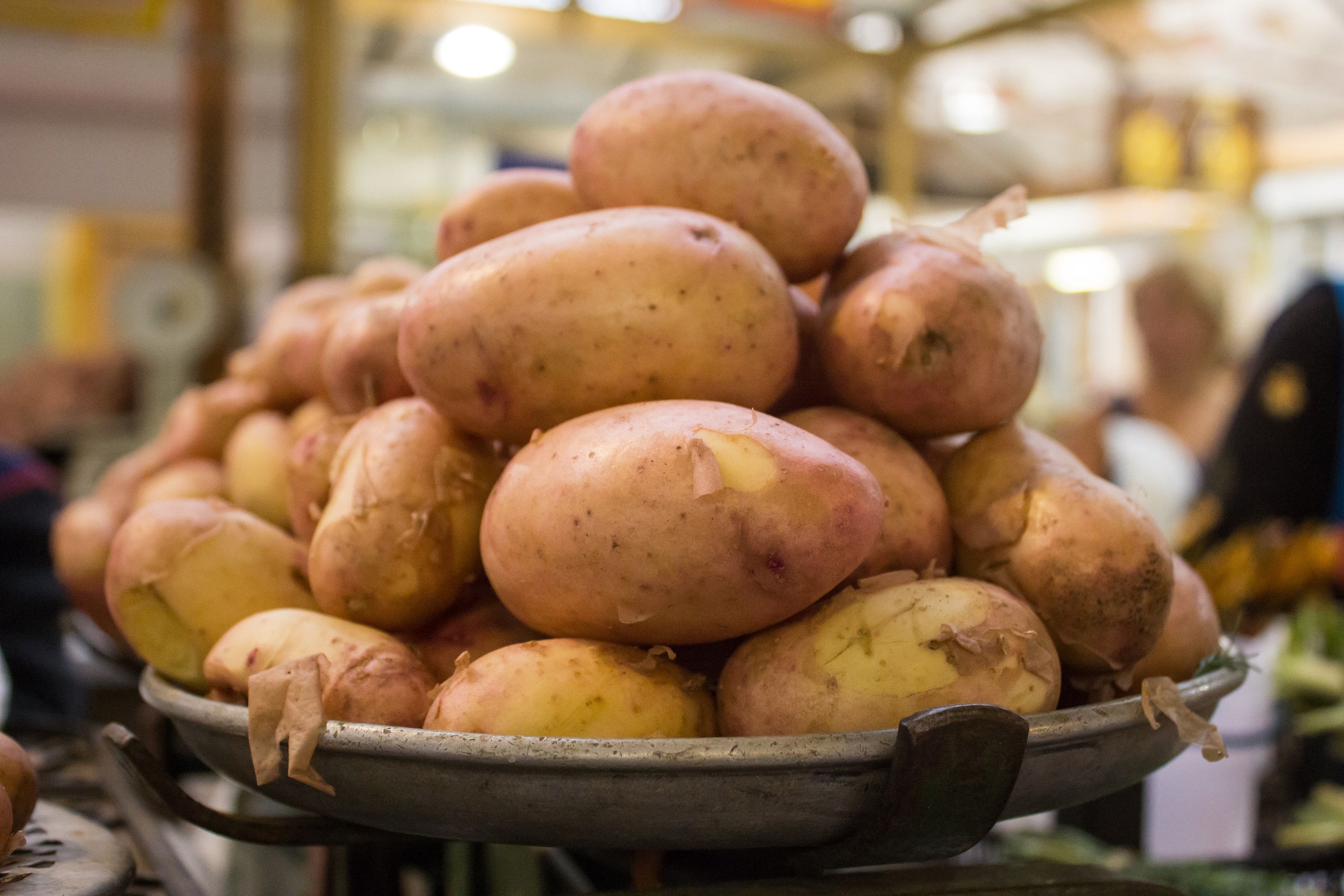 Буковинские фермеры сажают ранний картофель