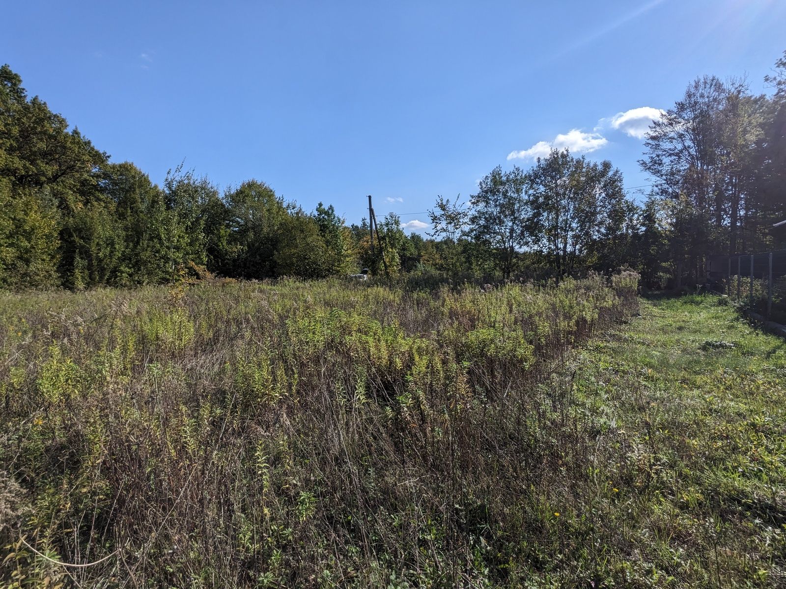 Хто може не платити земельний податок Хто може не платити земельний податок