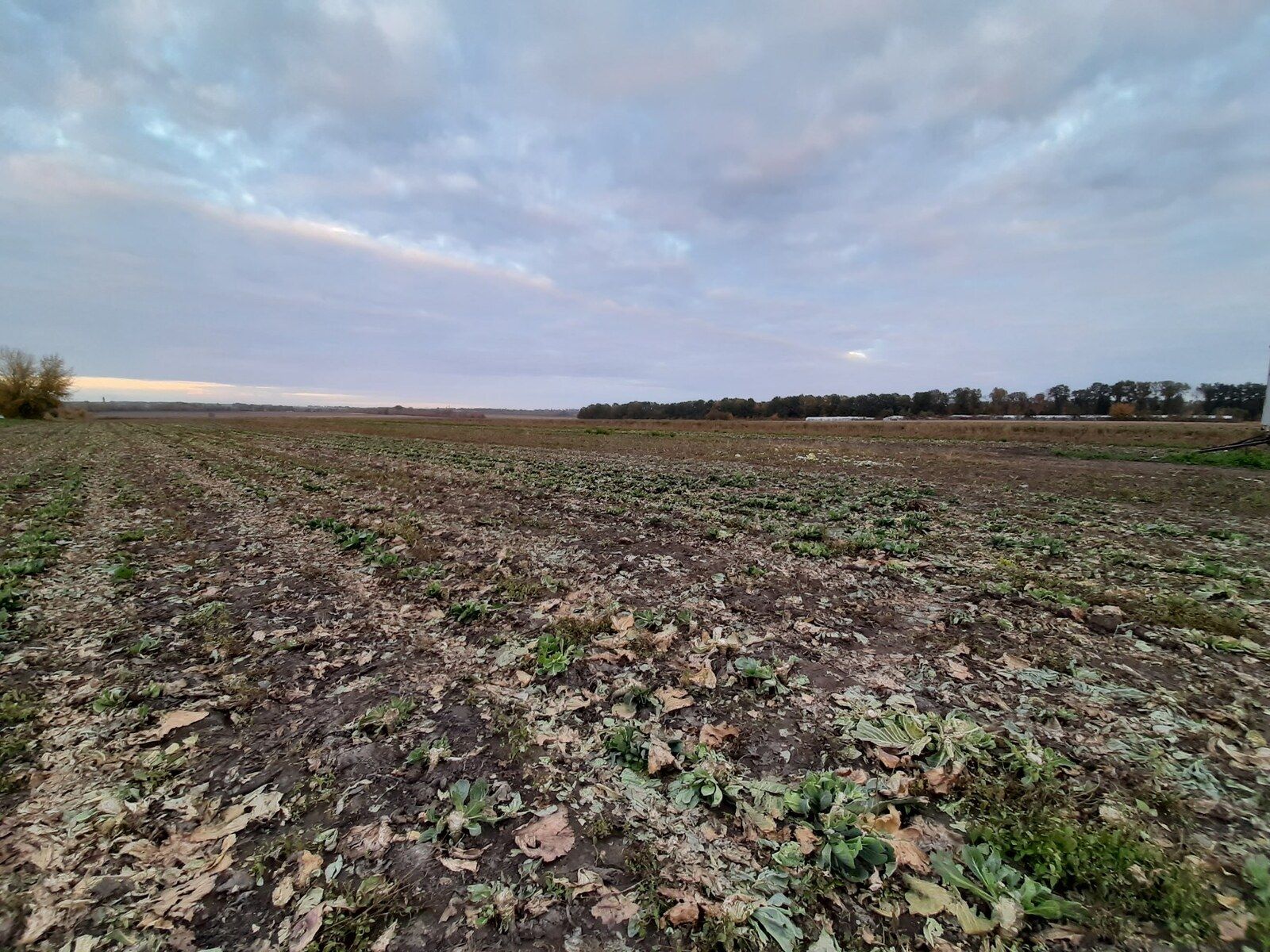 Должны ли пенсионеры платить земельный налог Должны ли пенсионеры платить земельный налог