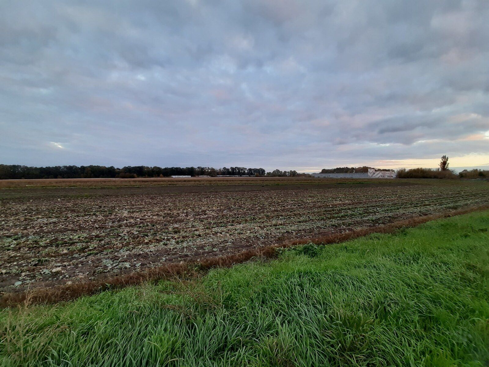 Як замінити орендодавця Як замінити орендодавця