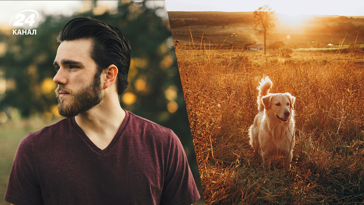 Чоловік золотистий ретривер - у мережі набирає популярності новий вираз Чоловік золотистий ретривер - у мережі набирає популярності новий вираз