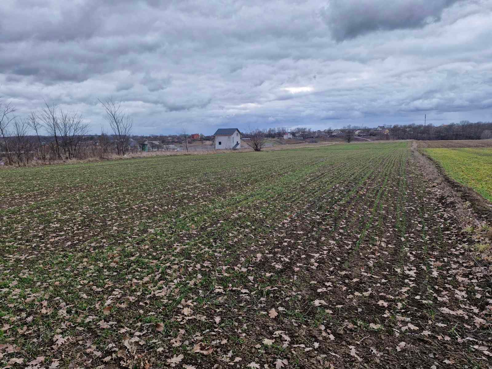 Як визнати заповіт недійсним Як визнати заповіт недійсним