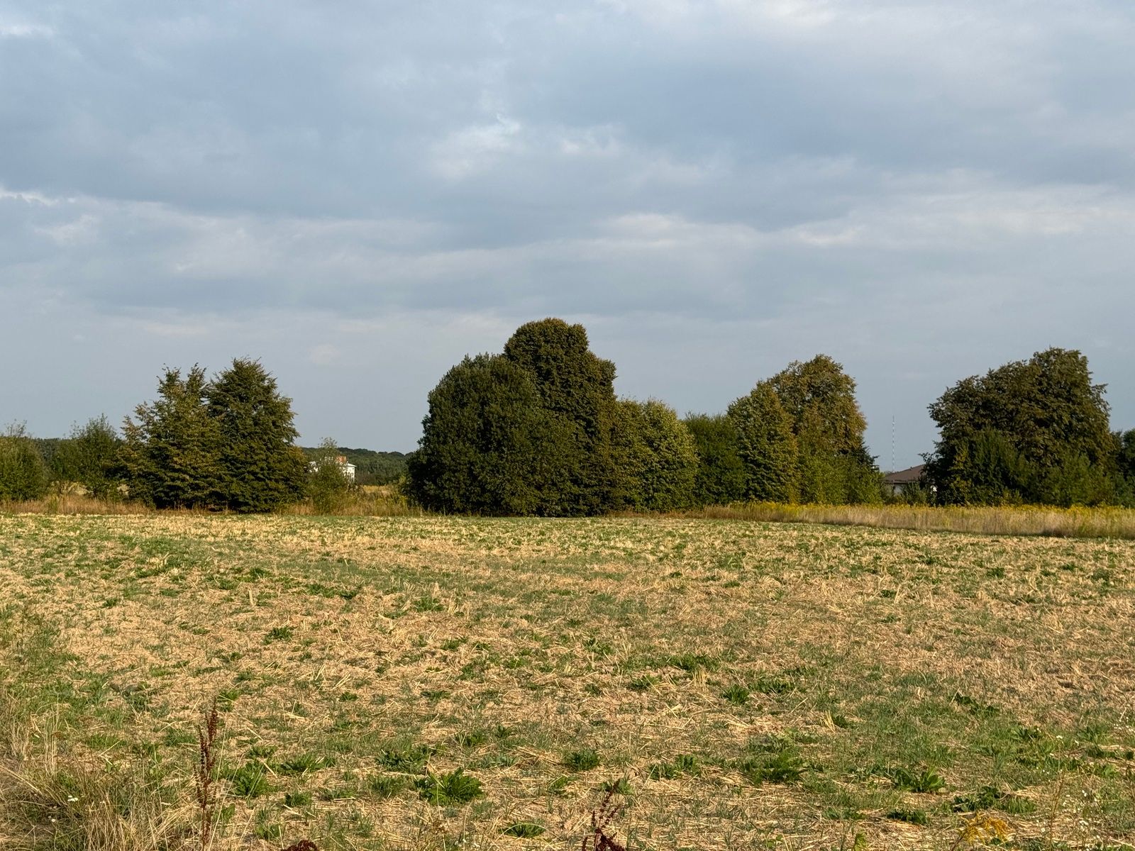 Как определить размер ставки арендной платы за землю - Агро 24 Как определить размер ставки арендной платы за землю - Агро 24