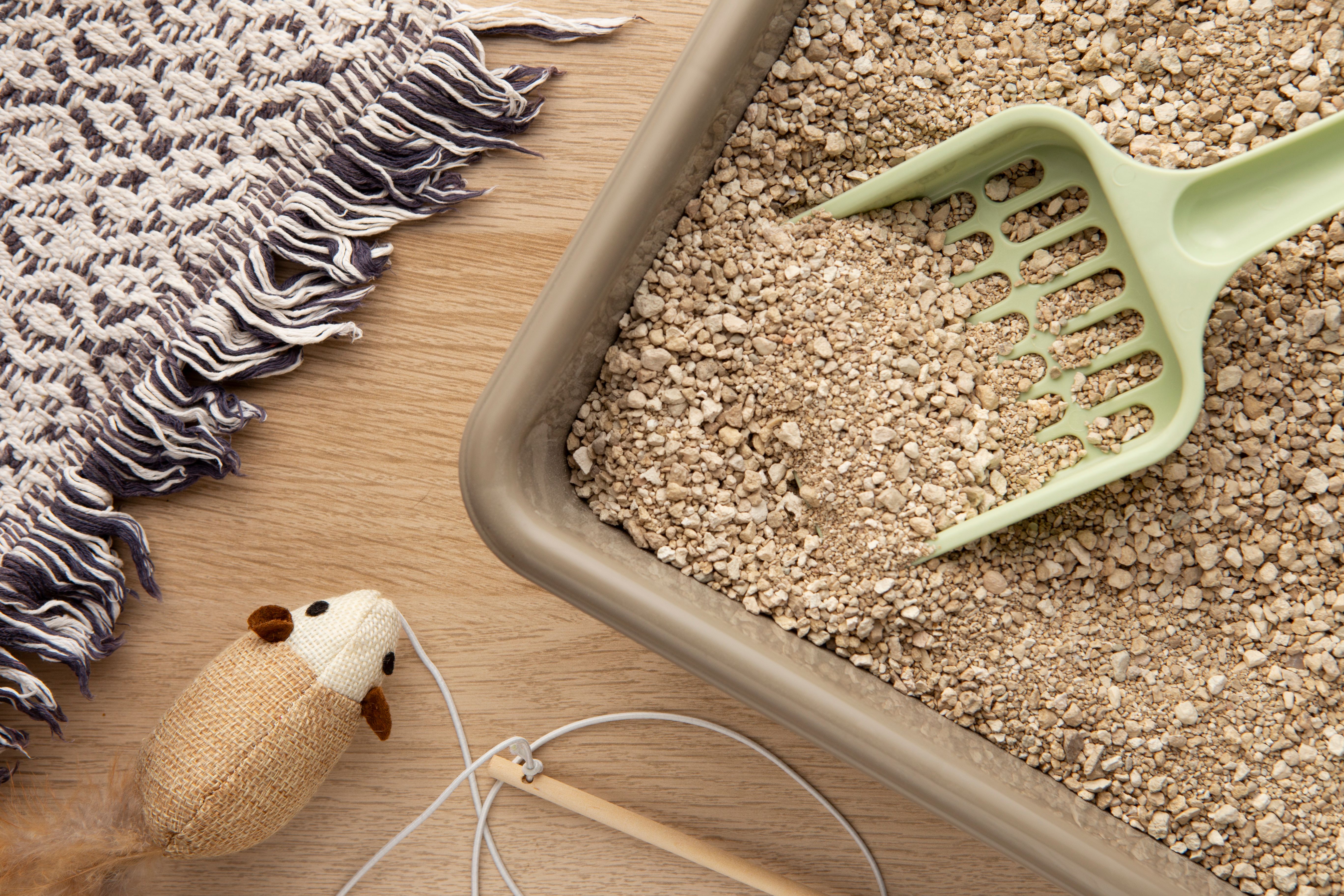 Не всі наповнювачі можна змивати в унітаз Не всі наповнювачі можна змивати в унітаз