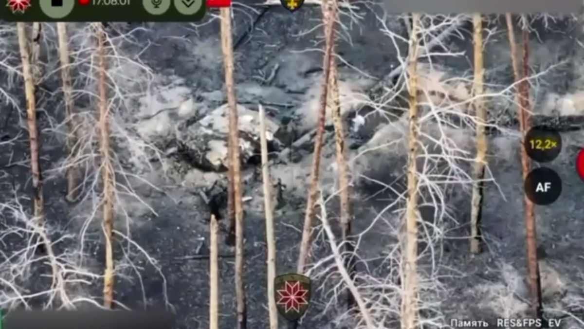 Втрати ворога за 2025 рік Втрати ворога за 2025 рік