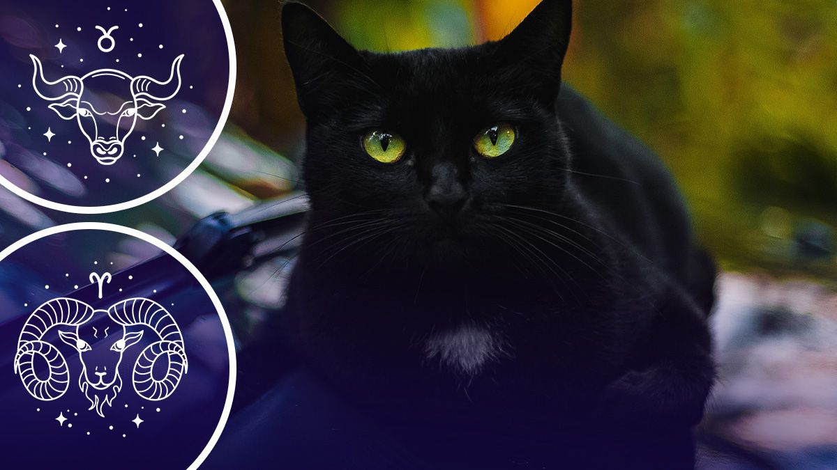 У кого начнется черная полоса в жизни - гороскоп У кого начнется черная полоса в жизни - гороскоп