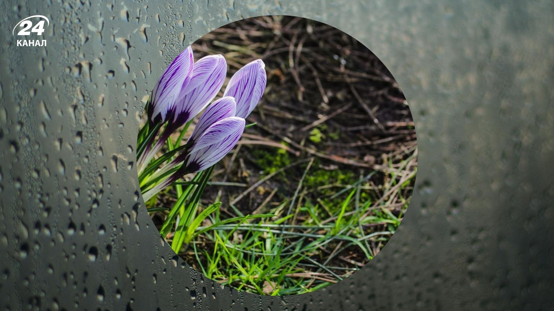 Погода 18 марта 2025 года Погода 18 марта 2025 года