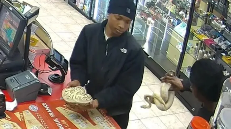 Чоловік погрожував пітоном Чоловік погрожував пітоном