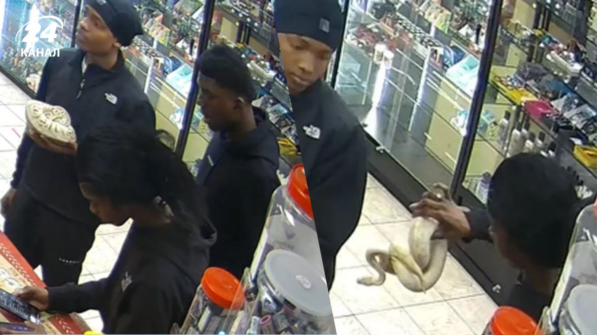 Злоумышленники с питонами ограбили АЗС - как это было Злоумышленники с питонами ограбили АЗС - как это было