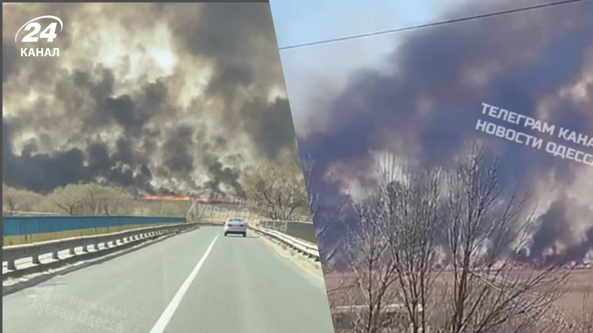 В Одесской области бушует масштабный пожар - СМИ - видео - новости Одессы - 24 Канал В Одесской области бушует масштабный пожар - СМИ - видео - новости Одессы - 24 Канал