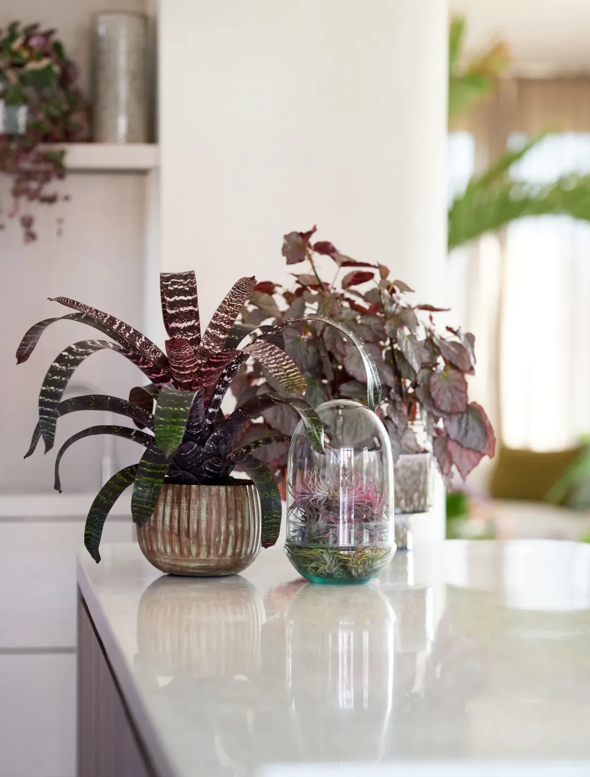 рослина у воді рослина у воді