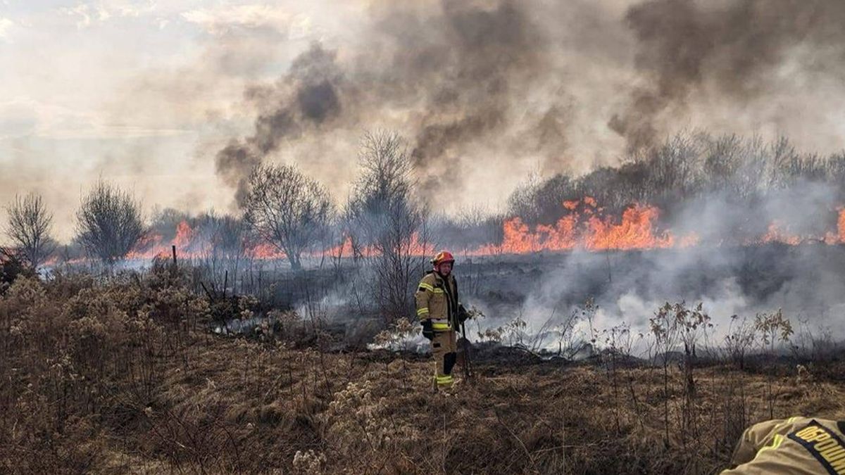 Что известно о пожаре возле Львова Что известно о пожаре возле Львова