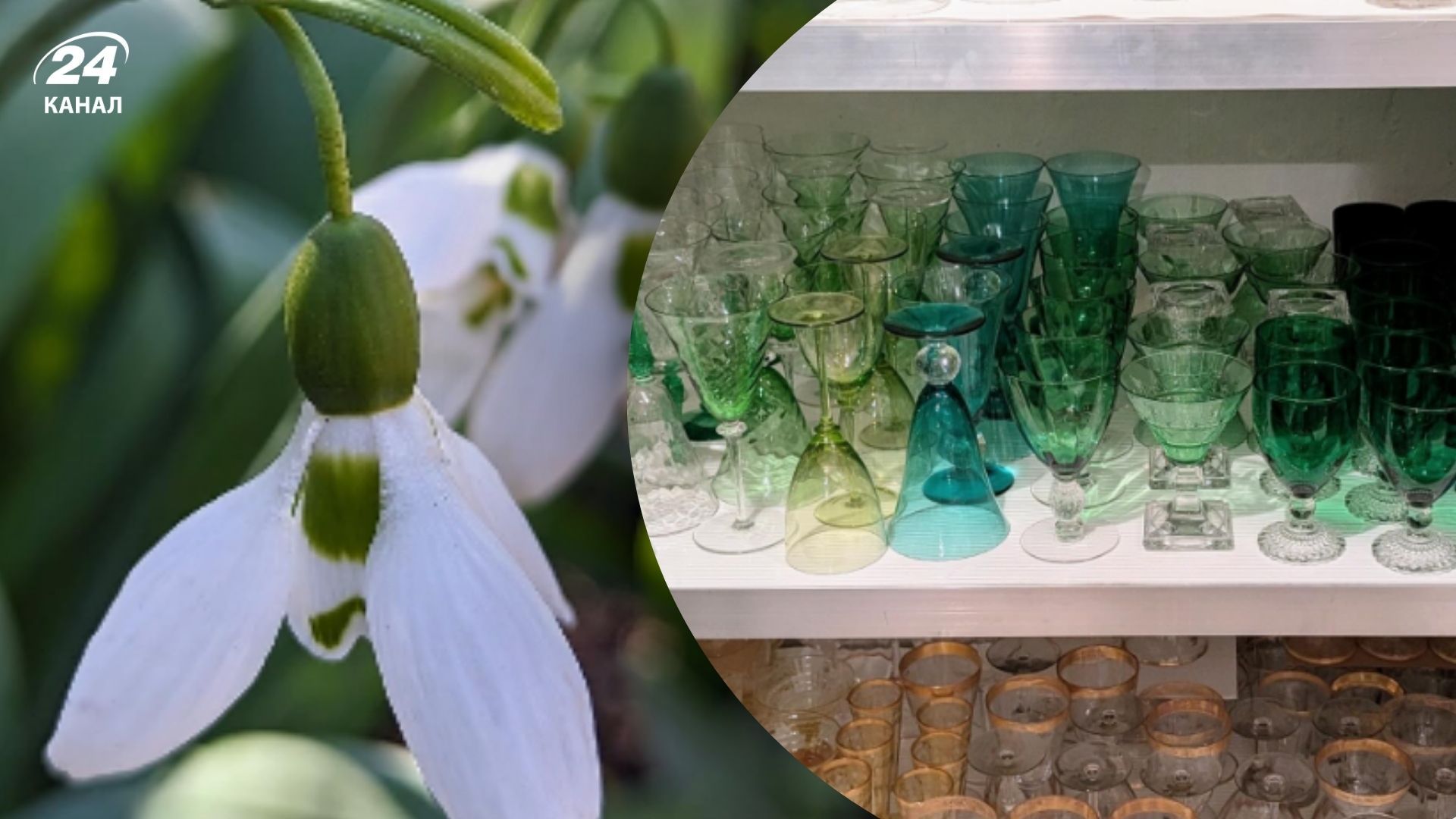 Почніть весняне прибирання з організації скляного посуду Почніть весняне прибирання з організації скляного посуду