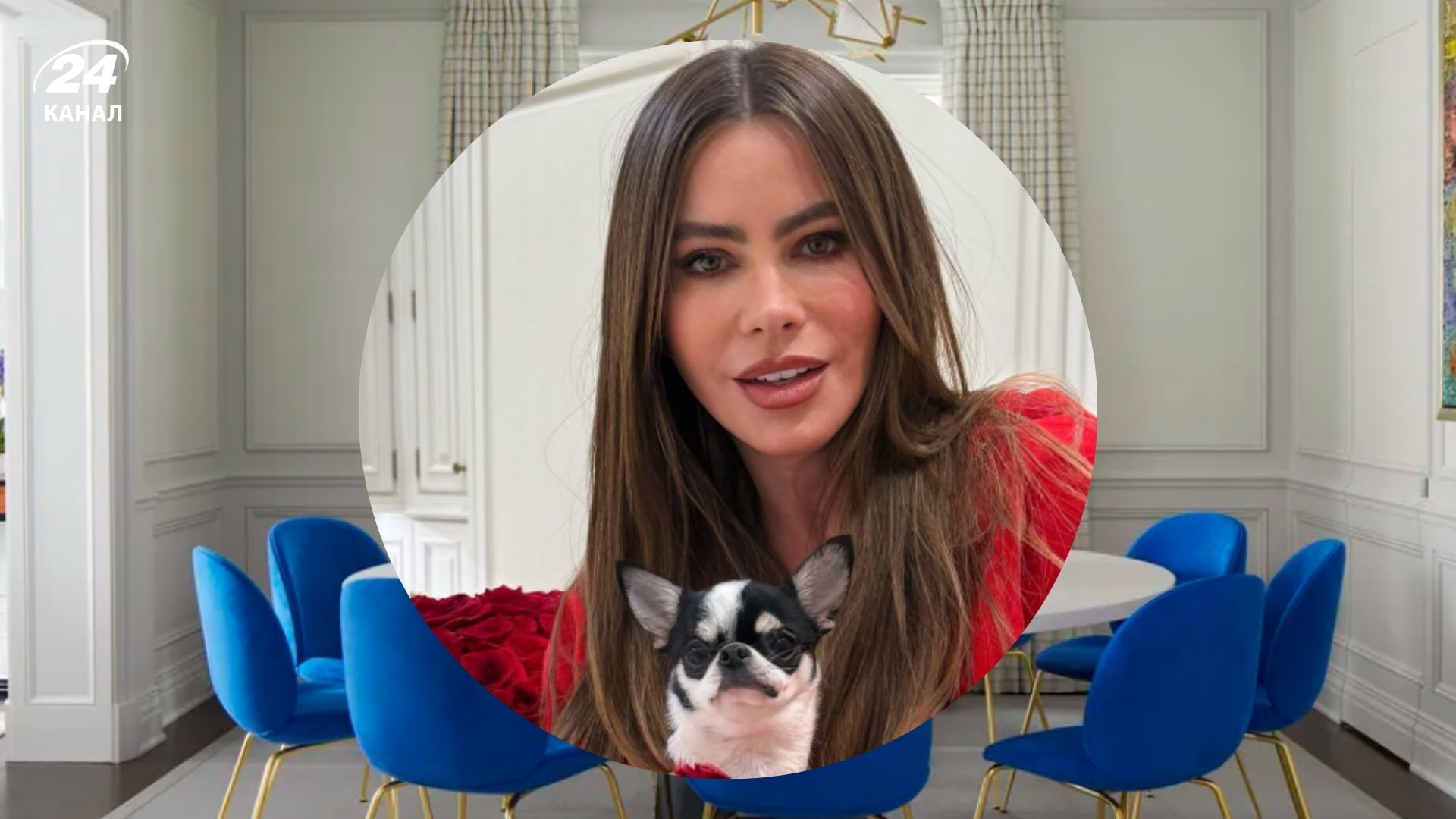 Пастельные цвета создают винтажную атмосферу в столовой Софии Вергары Пастельные цвета создают винтажную атмосферу в столовой Софии Вергары