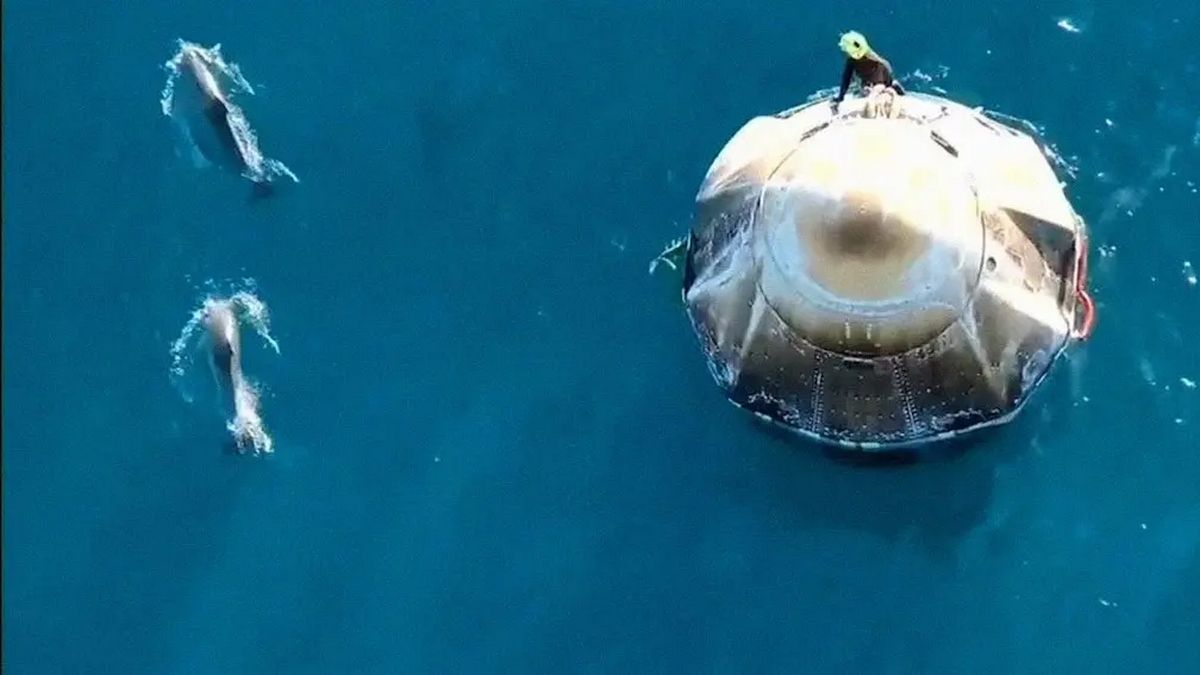 Дельфіни вітають астронавтів NASA після приземлення капсули Dragon Дельфіни вітають астронавтів NASA після приземлення капсули Dragon