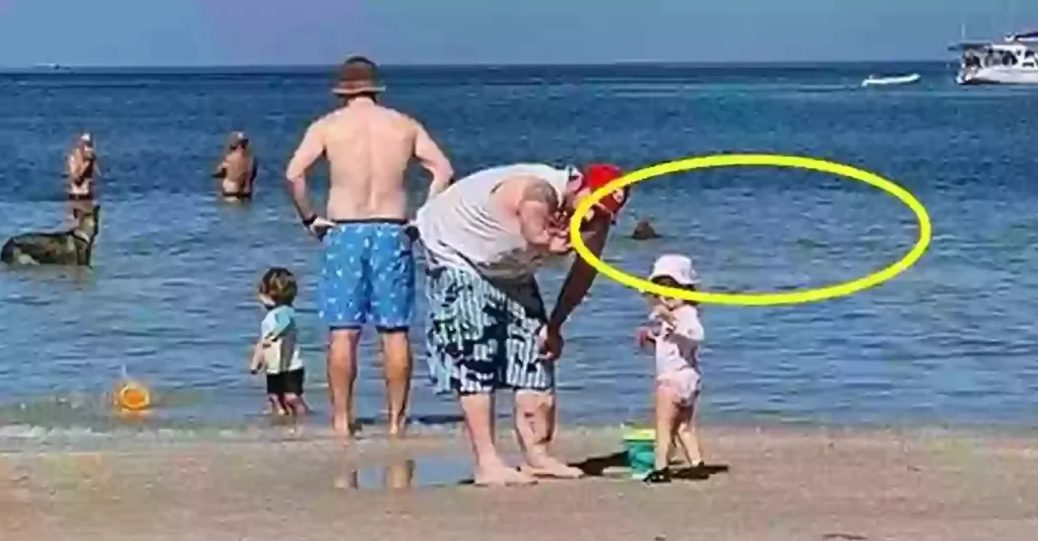 Многие люди предположили, что на фото изображена маленькая акула Многие люди предположили, что на фото изображена маленькая акула