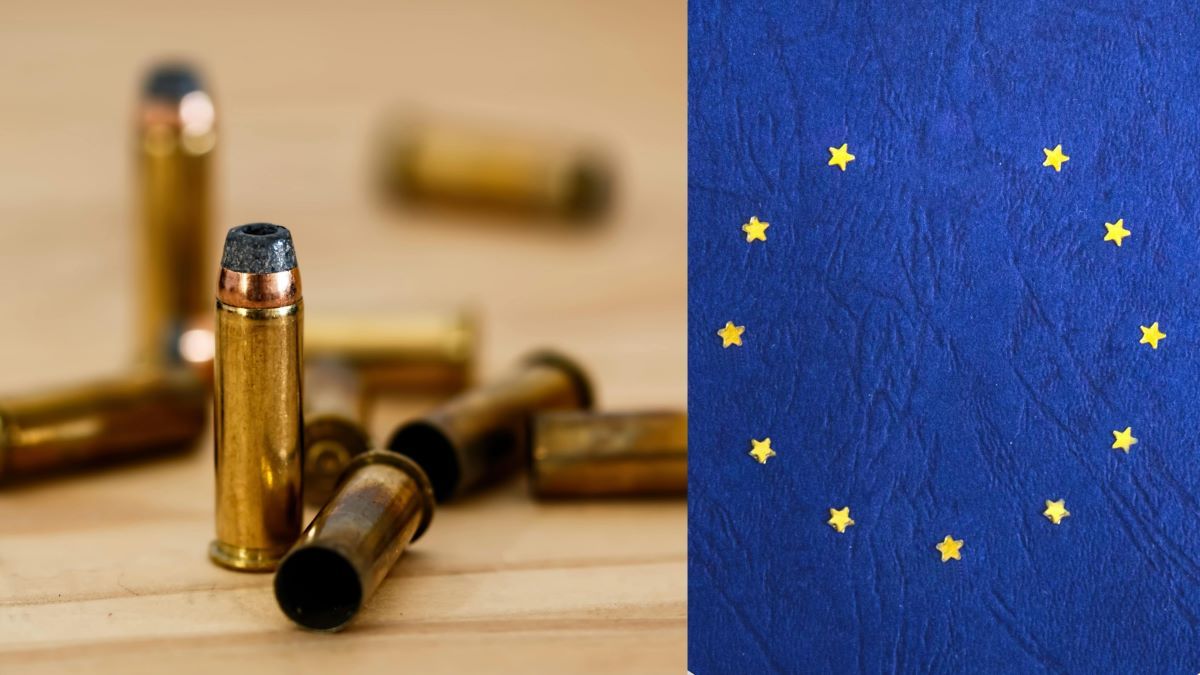 Проблема с ресурсами в Европе Проблема с ресурсами в Европе