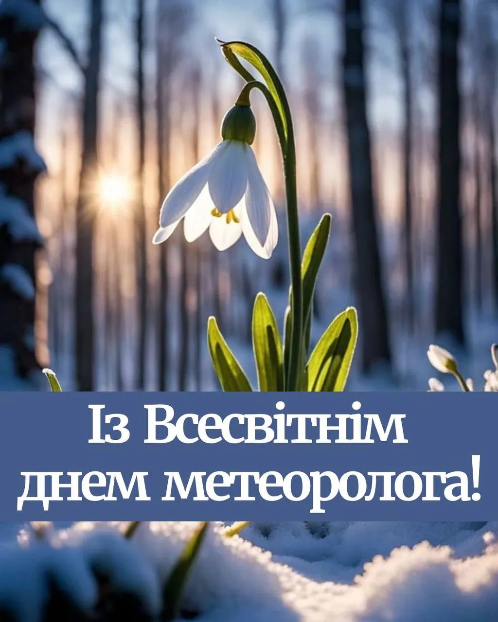 Привітання з Днем метеоролога 2025 Привітання з Днем метеоролога 2025