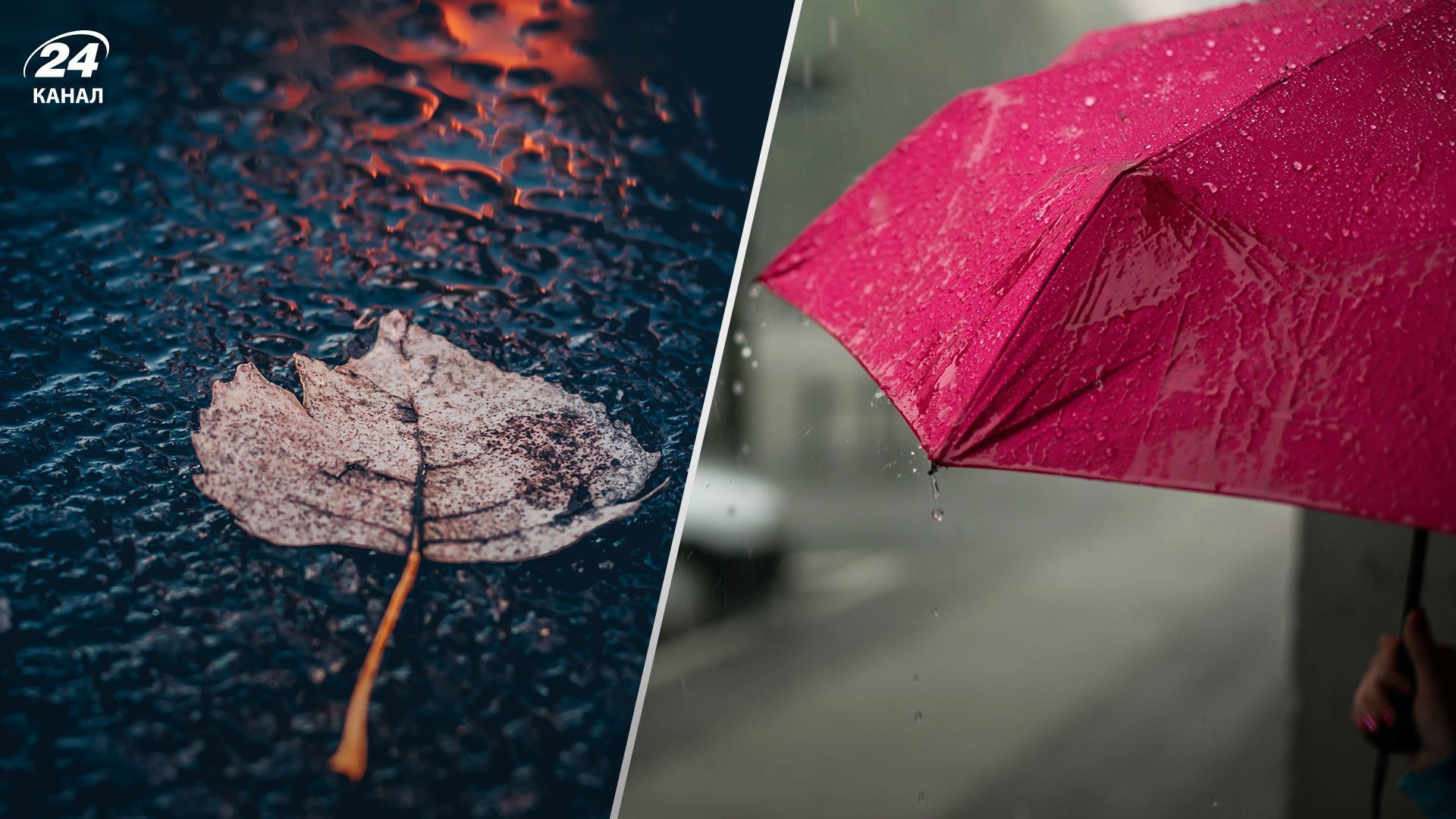 Украину накроют дожди Украину накроют дожди