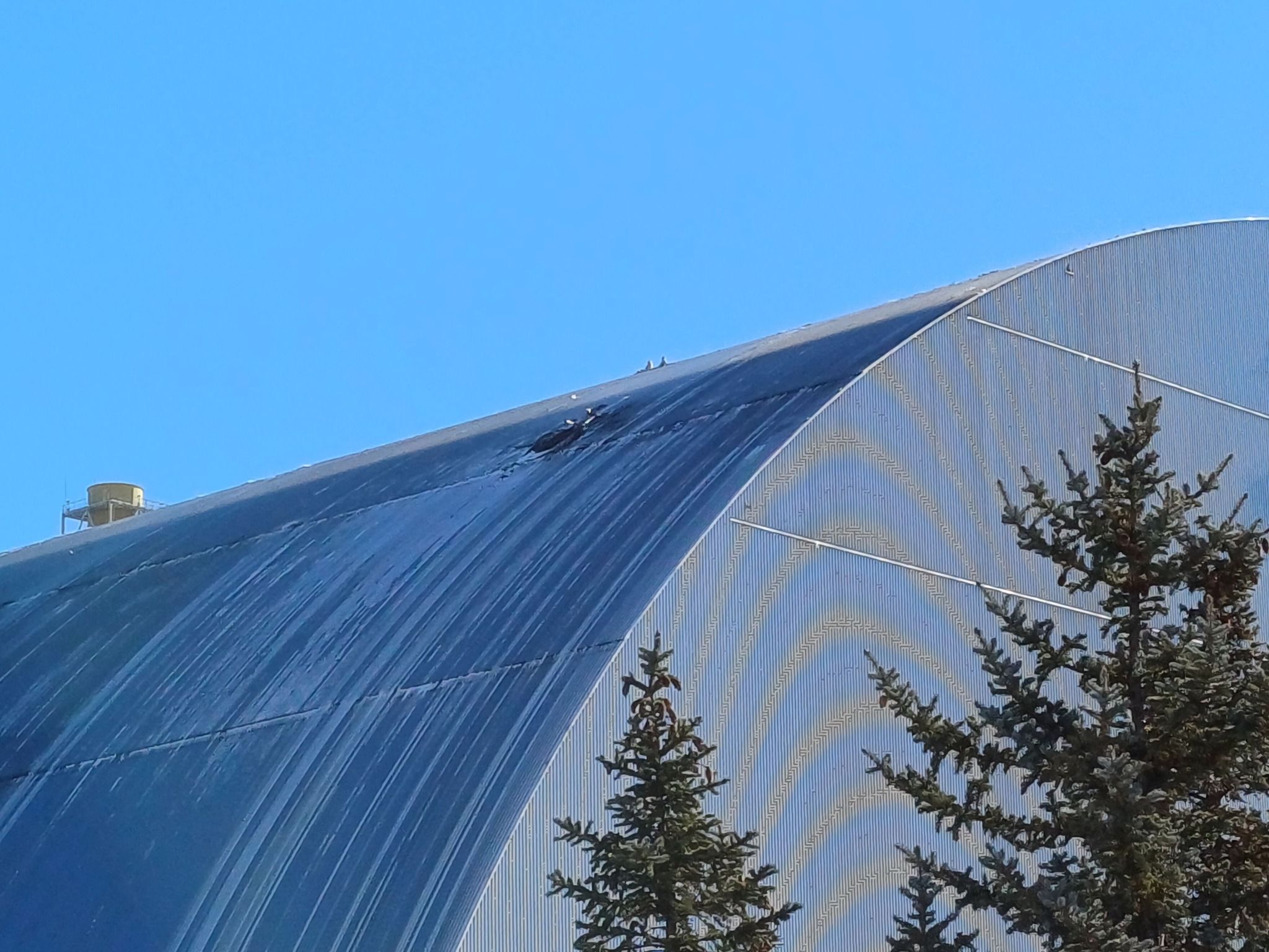 Саркофаг над ЧАЭС не функционирует, как должен Саркофаг над ЧАЭС не функционирует, как должен