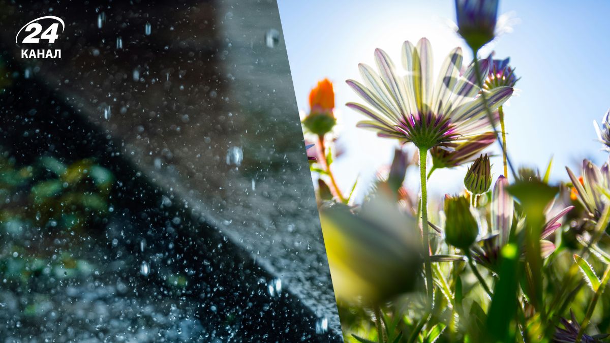 Прогноз погоды до конца марта Прогноз погоды до конца марта