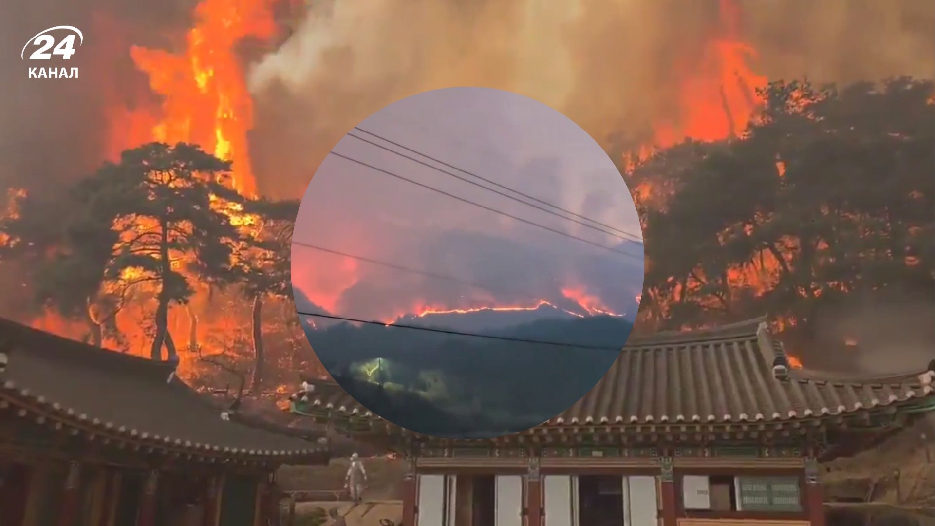 У Південній Кореї дотла згорів тисячолітній буддистський храм через лісові пожежі - 24 Канал У Південній Кореї дотла згорів тисячолітній буддистський храм через лісові пожежі - 24 Канал