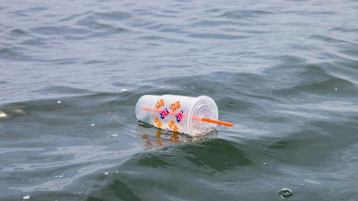 Новый метод расщепляет пластик за 4 часа, перерабатывая его в ценный ресурс Новый метод расщепляет пластик за 4 часа, перерабатывая его в ценный ресурс