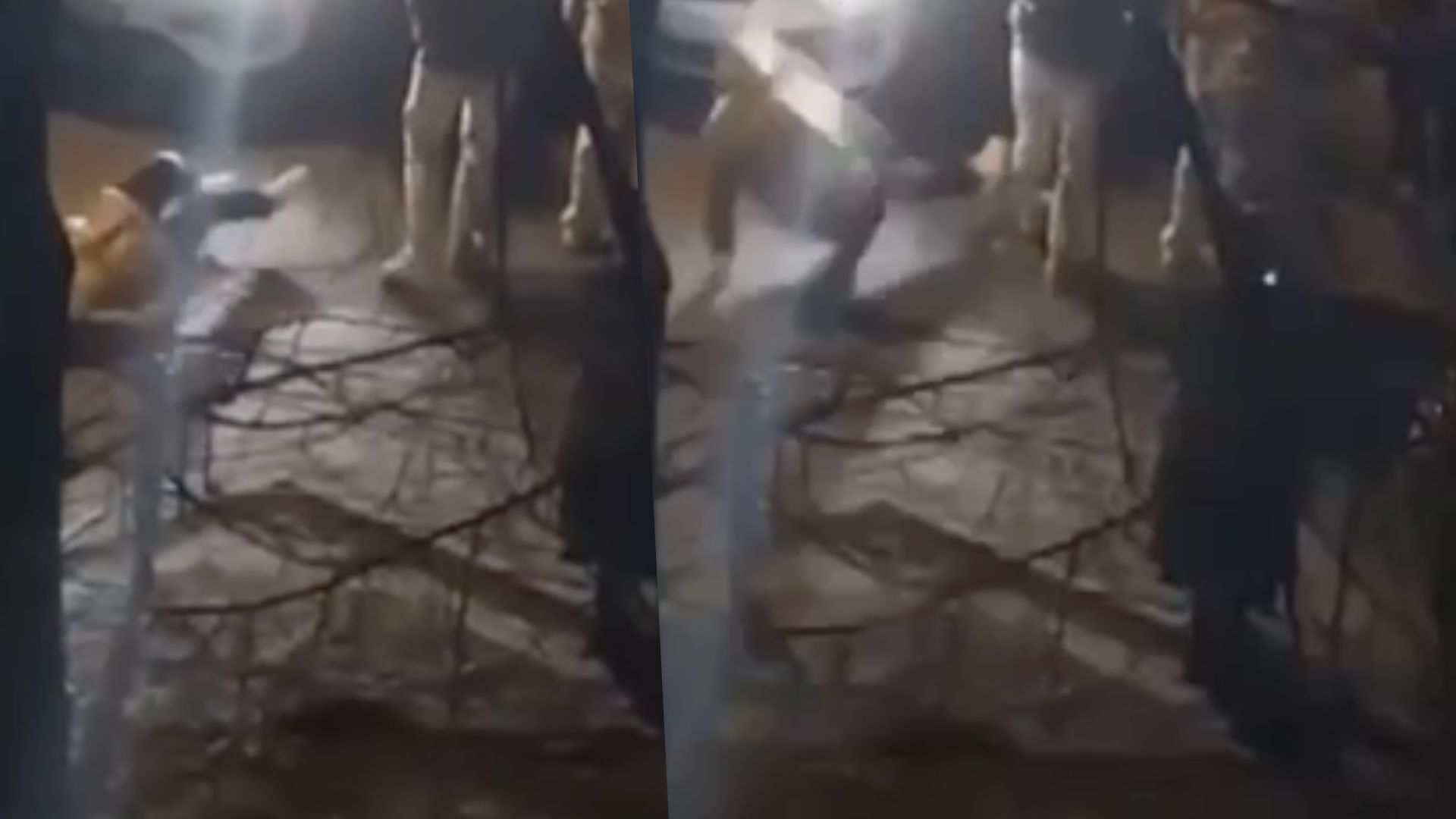 Видео с полицейскими и пожилой женщиной на асфальте: полиция Киева объяснила, что произошло - 24 Канал Видео с полицейскими и пожилой женщиной на асфальте: полиция Киева объяснила, что произошло - 24 Канал