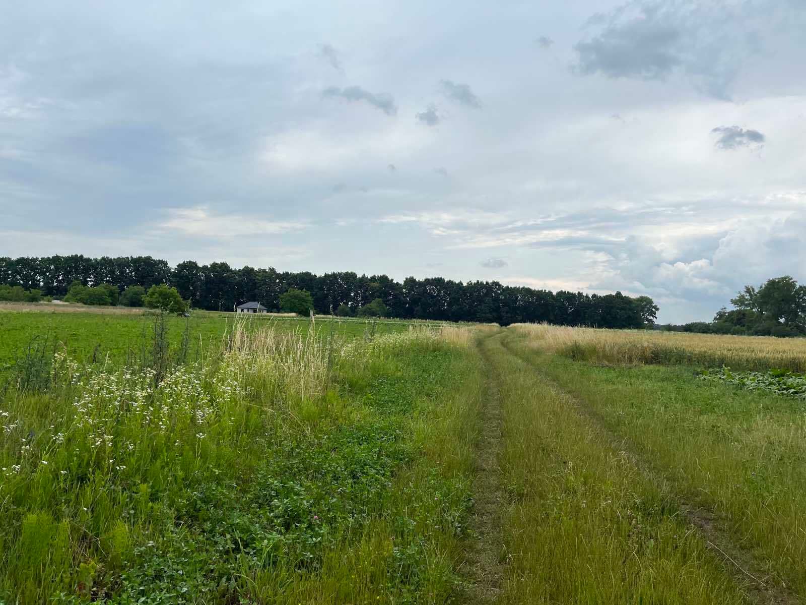 Когда устанавливается сервитут