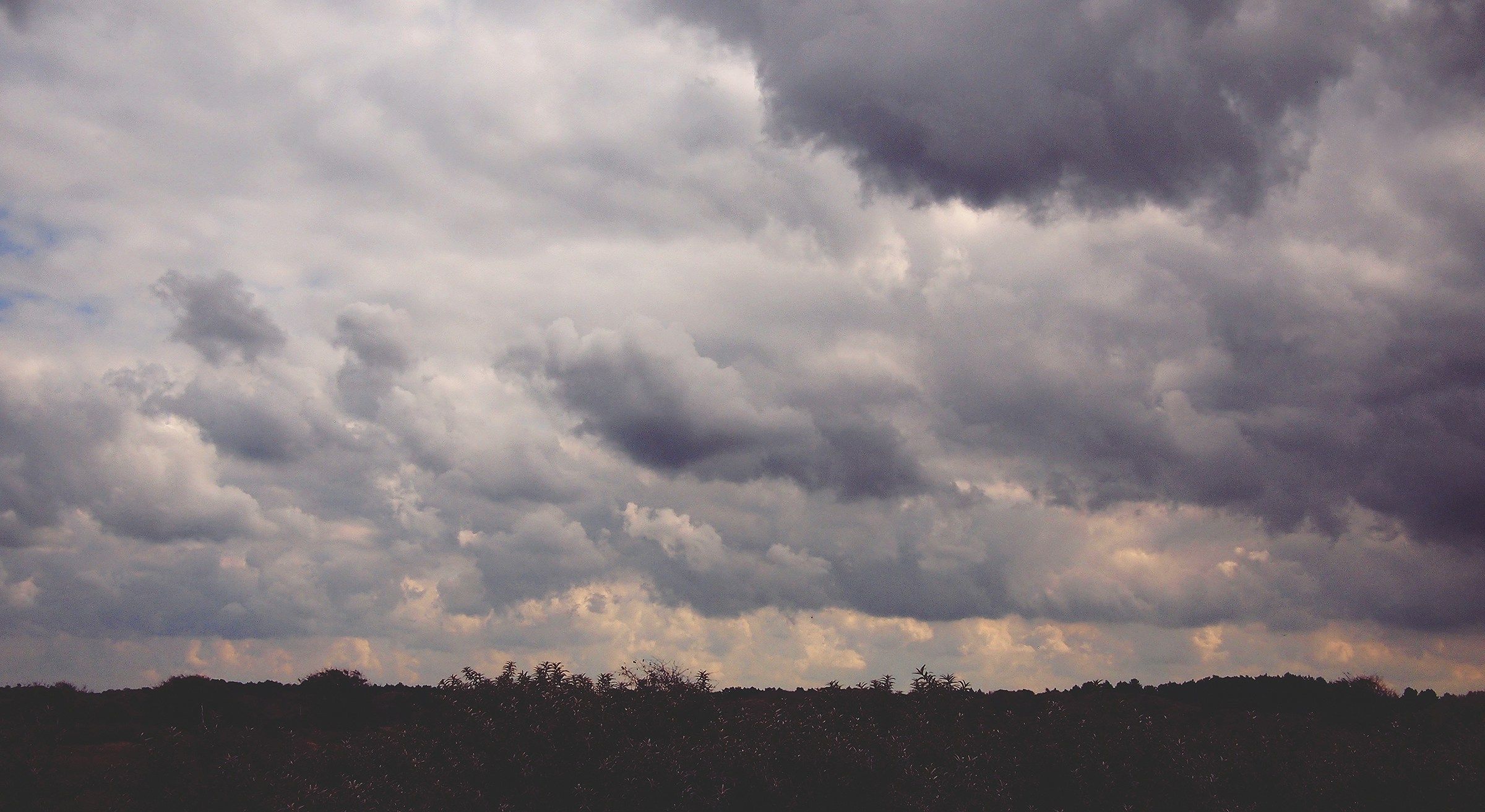 Прогноз погоды на 26 марта - 24 Канал Прогноз погоды на 26 марта - 24 Канал