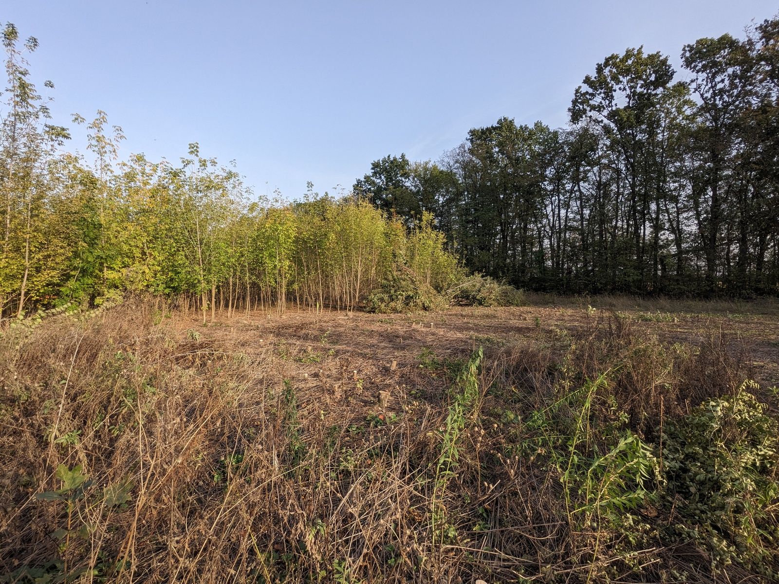 До какой даты надо оформить пай До какой даты надо оформить пай