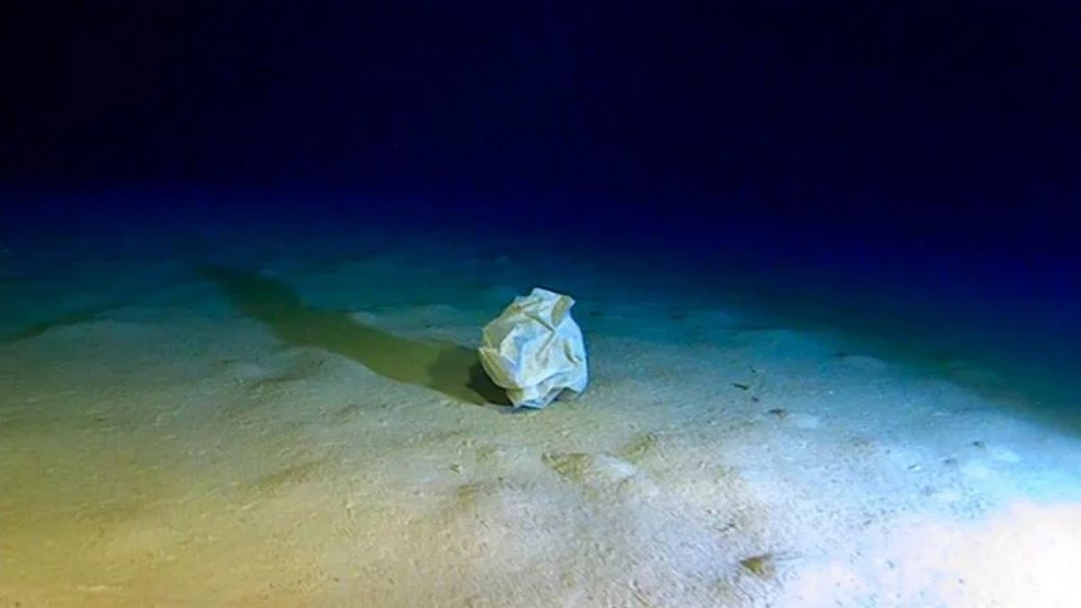 Глубоководная катастрофа мусора в самой глубокой точке Средиземного моря Глубоководная катастрофа мусора в самой глубокой точке Средиземного моря