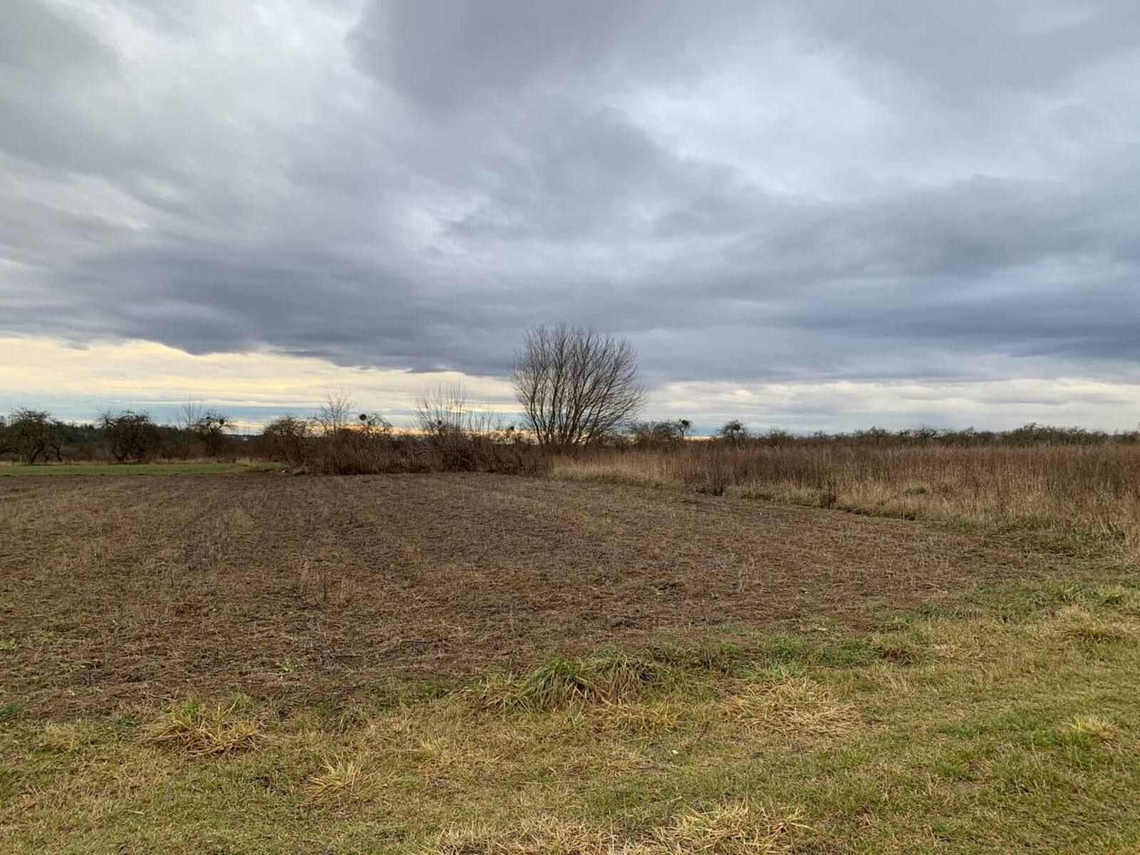 Як продати землю в оренді Як продати землю в оренді