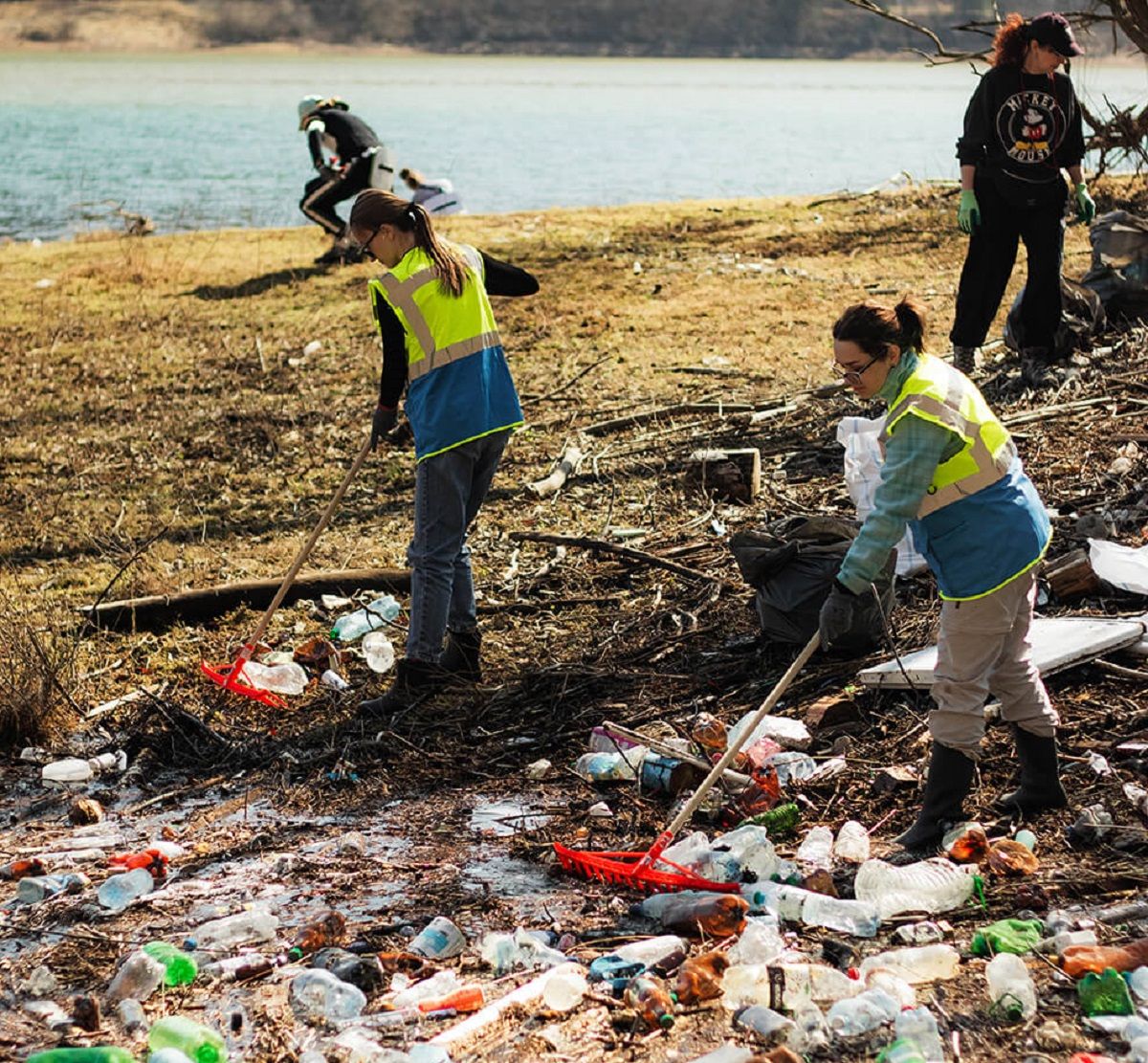 Волонтеры собрали почти 3 тонны мусора на Ольшанском водохранилище на Закарпатье - Тренды