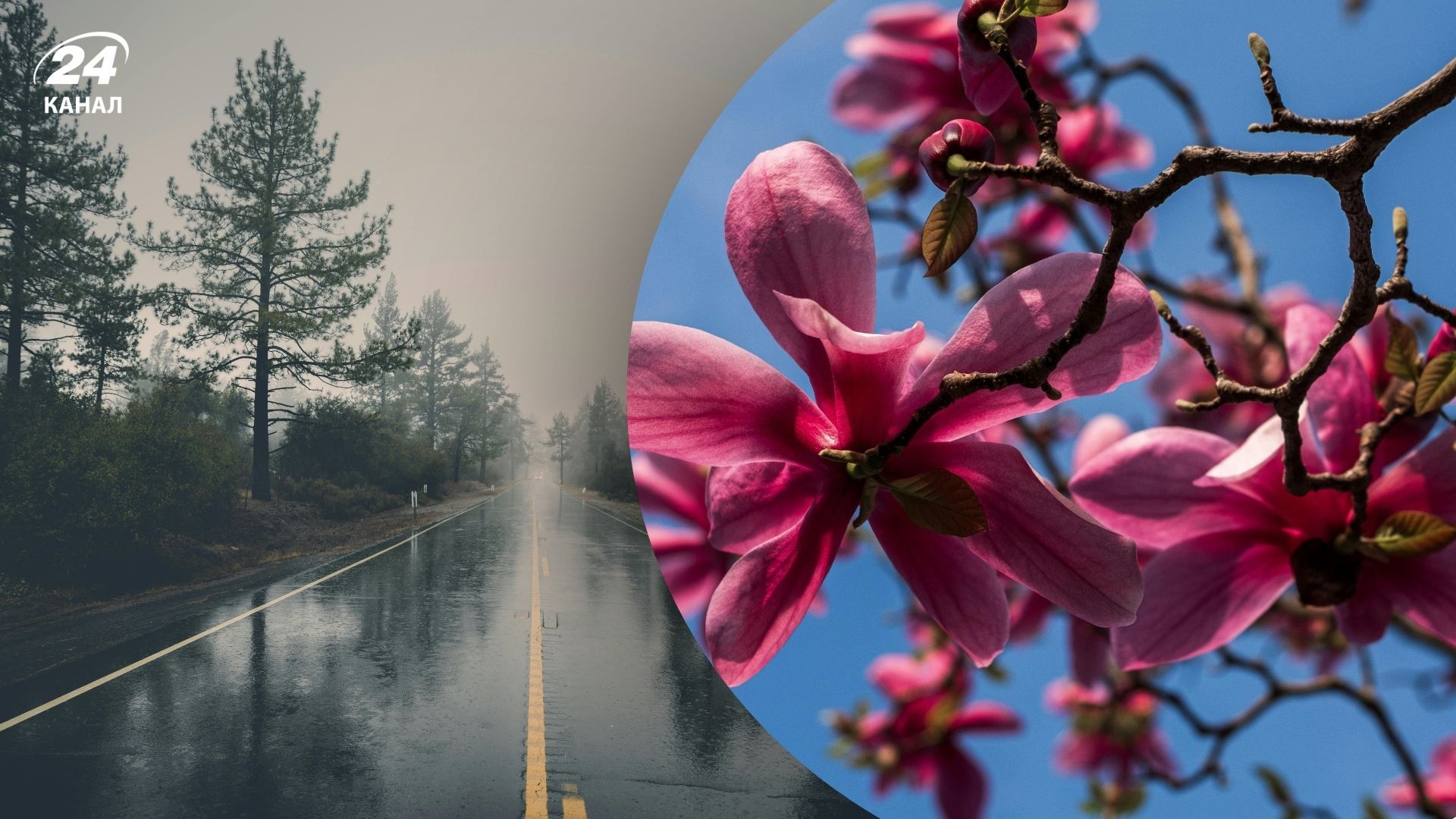 Погода 31 березня 2025 року Погода 31 березня 2025 року