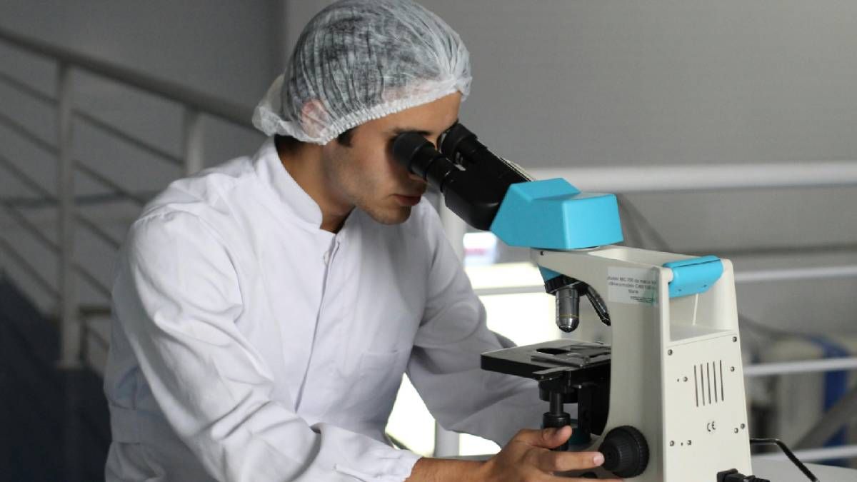 ВВК по-новому в апреле 2025 года ВВК по-новому в апреле 2025 года