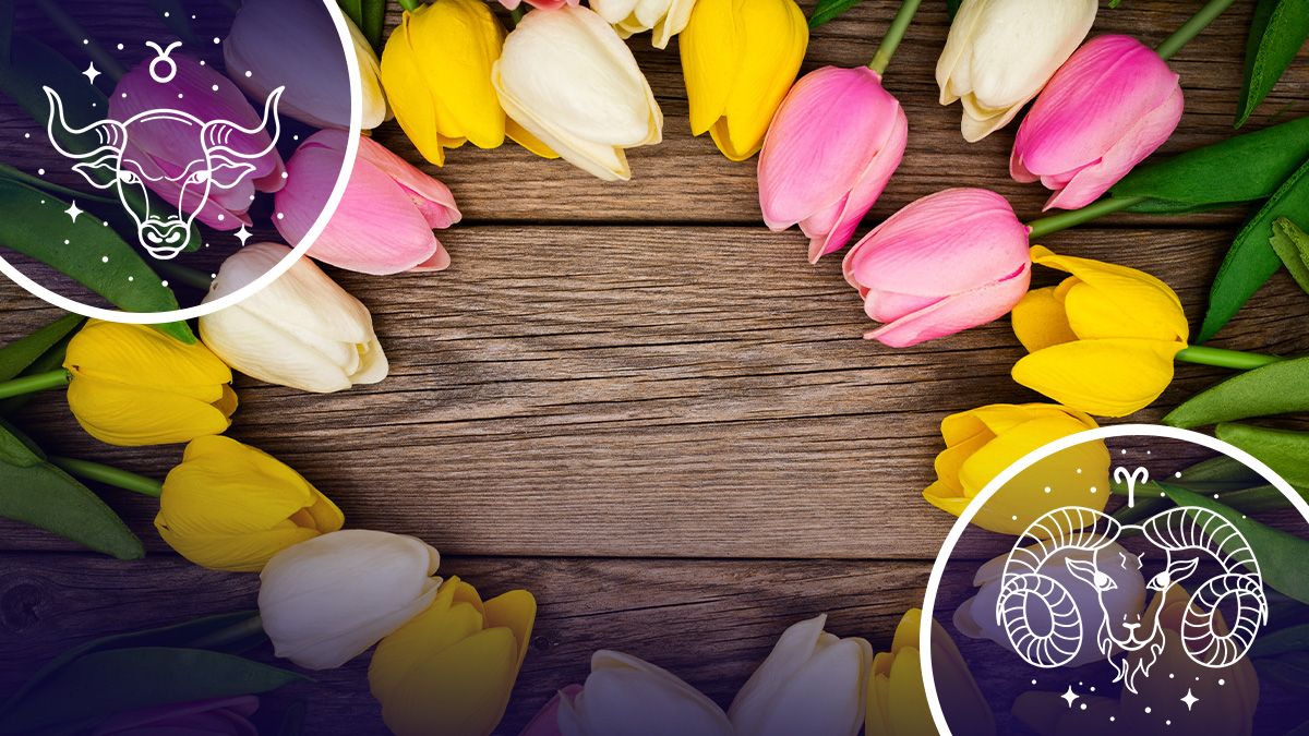 Гороскоп на апрель 2025 года для всех знаков зодиака Гороскоп на апрель 2025 года для всех знаков зодиака