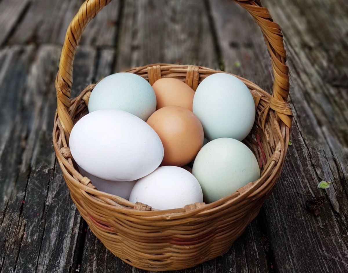 Сколько минут варить яйца на Пасху Сколько минут варить яйца на Пасху