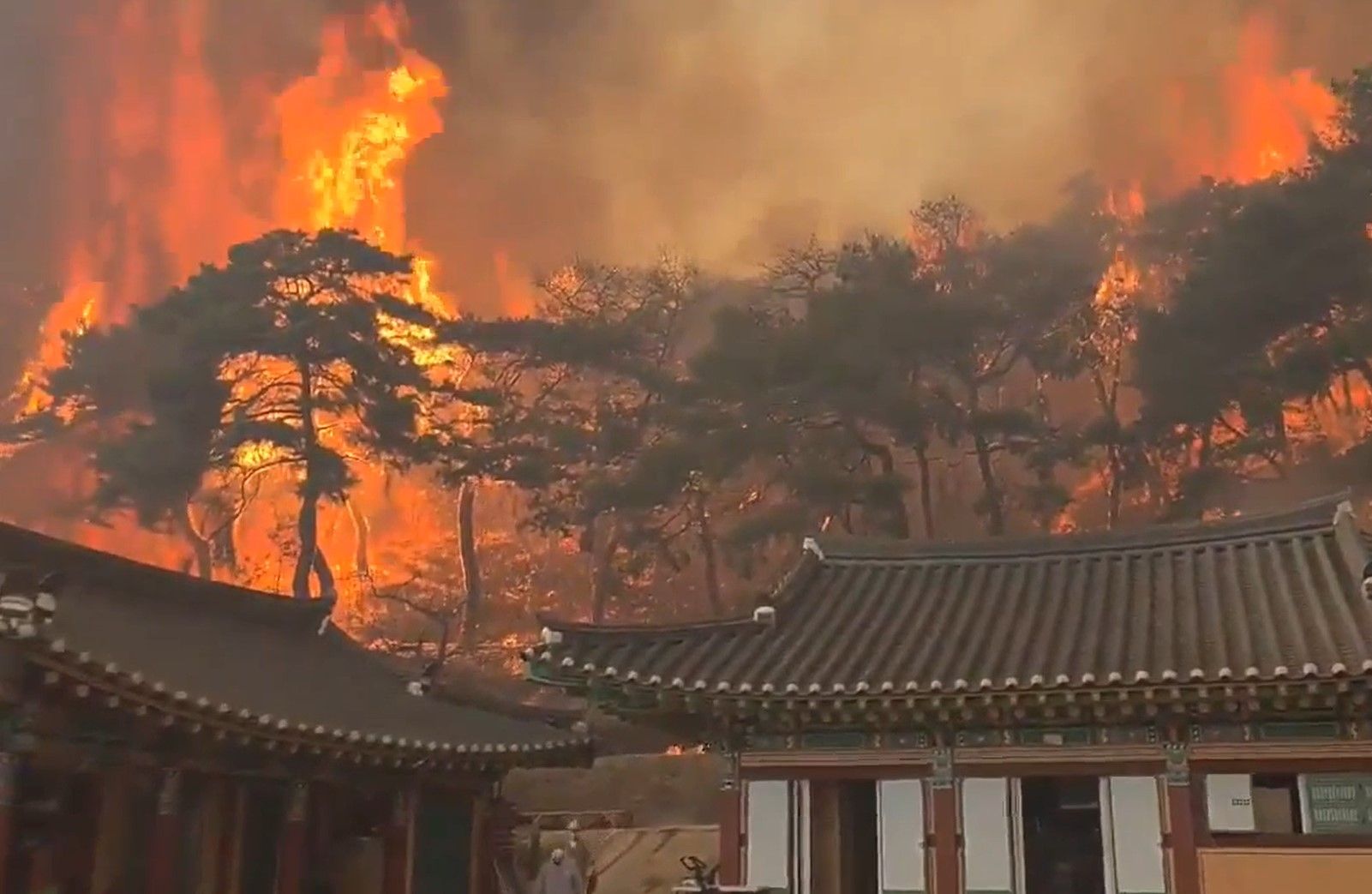 Пожар в Южной Корее Пожар в Южной Корее