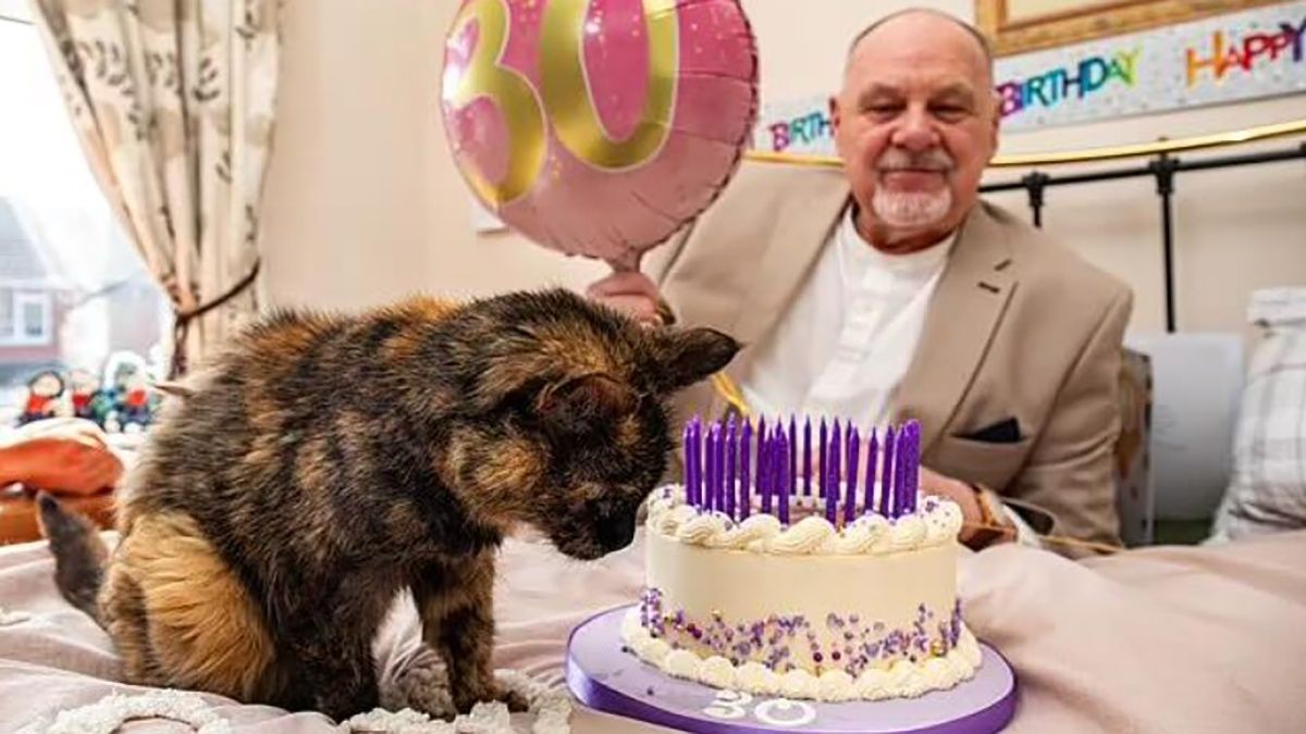 Кошка Милли из Англии отпраздновала свое 30-летие - фото