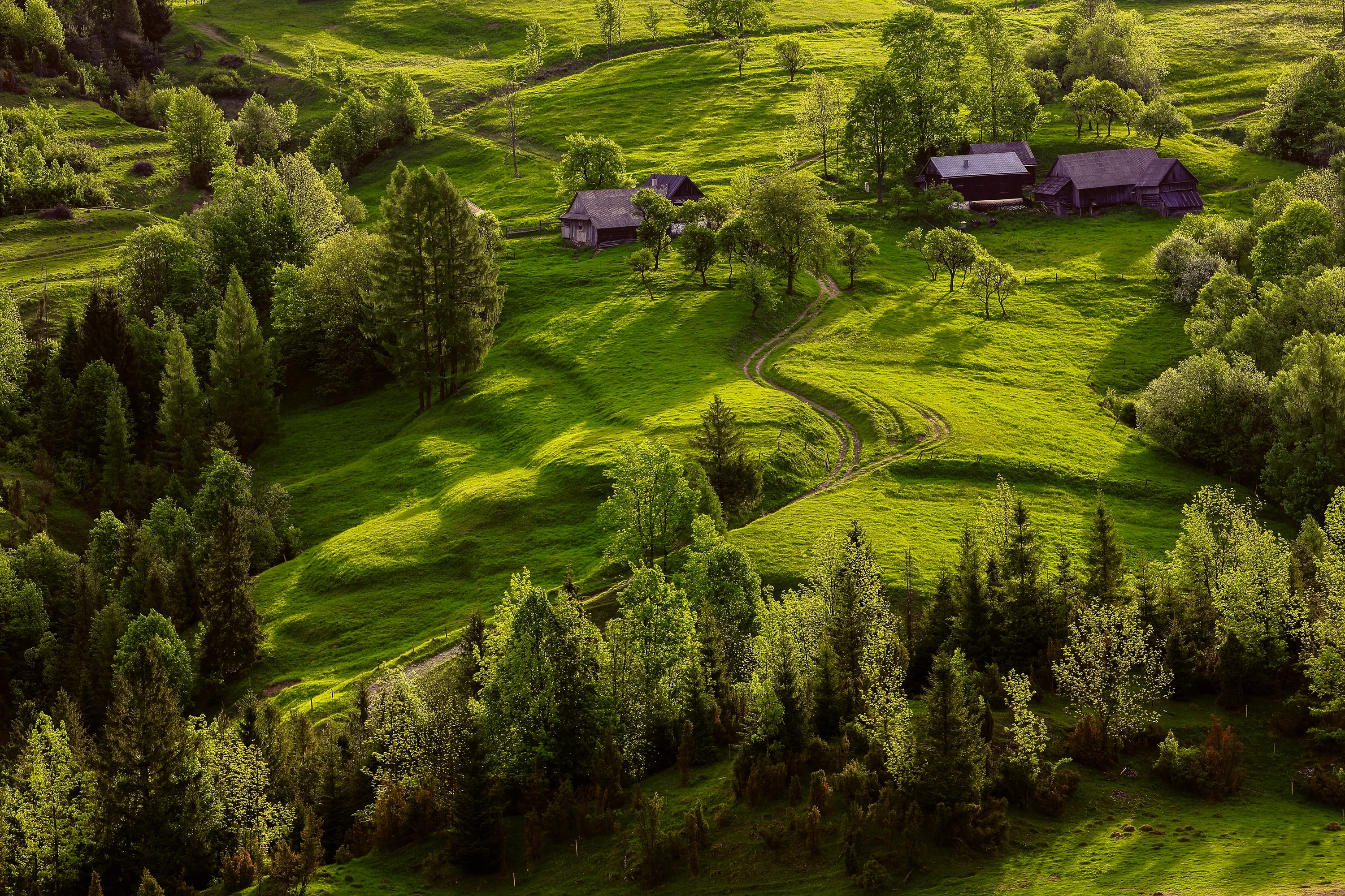 Біла вода у Польщі