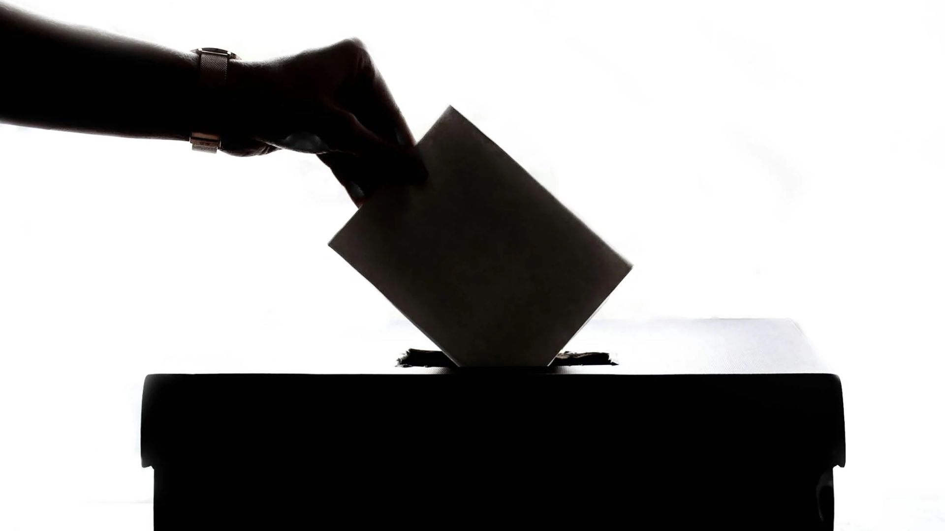 Діденко розповів про повоєнні вибори Діденко розповів про повоєнні вибори