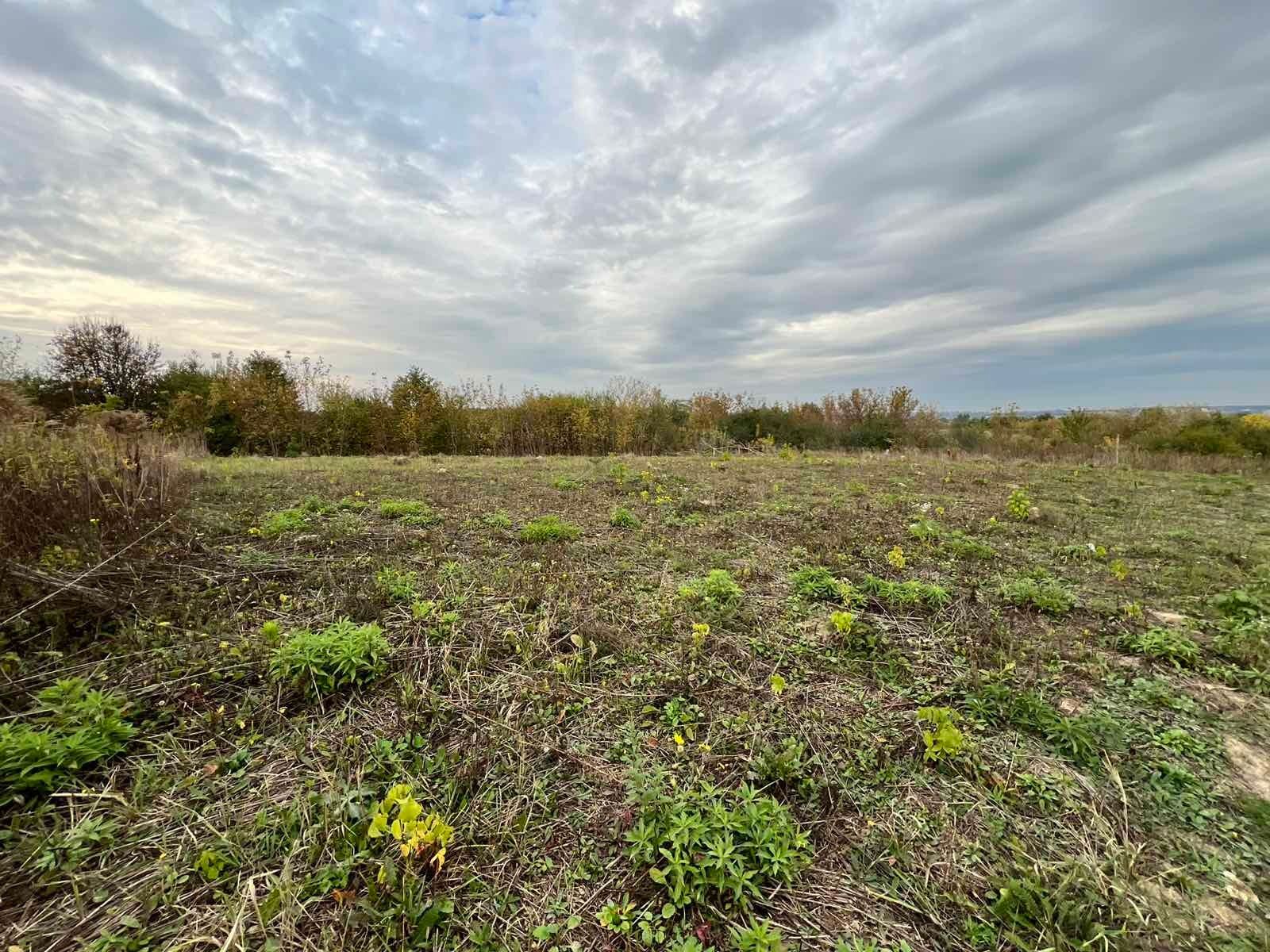 Які масштаби втрат родючих ґрунтів Які масштаби втрат родючих ґрунтів