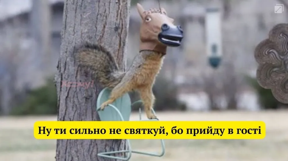 Мемы к 1 апреля Мемы к 1 апреля